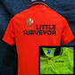 Little Surveyor