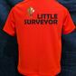 Little Surveyor